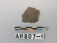 藏品(灰色夾砂陶片)的圖片
